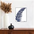 Picture of Fern on white I _GroupedProduct_Rectangle_Portrait_Canvas_Framed_