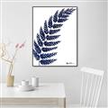 Picture of Fern on white I _GroupedProduct_Rectangle_Portrait_Canvas_Framed_
