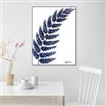 Picture of Fern on white I _GroupedProduct_Rectangle_Portrait_Canvas_Framed_