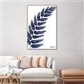 Picture of Fern on white I _GroupedProduct_Rectangle_Portrait_Canvas_Framed_