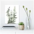 Picture of Eucalyptus Growing I _GroupedProduct_Rectangle_Portrait_Unframed_Print_Only_