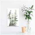 Picture of Eucalyptus Growing I _GroupedProduct_Rectangle_Portrait_Unframed_Print_Only_
