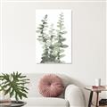 Picture of Eucalyptus Growing I _GroupedProduct_Rectangle_Portrait_Unframed_Print_Only_