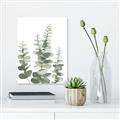 Picture of Eucalyptus Growing II  _GroupedProduct_Rectangle_Portrait_Unframed_Print_Only_
