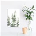 Picture of Eucalyptus Growing II  _GroupedProduct_Rectangle_Portrait_Unframed_Print_Only_