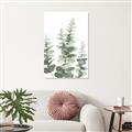 Picture of Eucalyptus Growing II  _GroupedProduct_Rectangle_Portrait_Unframed_Print_Only_