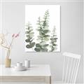 Picture of Eucalyptus Growing II  _GroupedProduct_Rectangle_Portrait_Unframed_Print_Only_