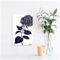 Picture of Blue Flower on White II  _GroupedProduct_Rectangle_Portrait_Unframed_Print_Only_
