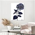 Picture of Blue Flower on White II  _GroupedProduct_Rectangle_Portrait_Unframed_Print_Only_