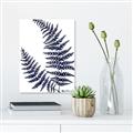 Picture of Fern on white  II _GroupedProduct_Rectangle_Portrait_Unframed_Print_Only_