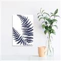 Picture of Fern on white  II _GroupedProduct_Rectangle_Portrait_Unframed_Print_Only_
