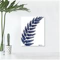 Picture of Fern on white I _GroupedProduct_Rectangle_Portrait_Unframed_Print_Only_