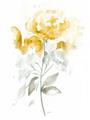 Picture of Yellow Floral II  _GroupedProduct_Rectangle_Portrait_Unframed_Print_Only_