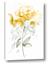 Picture of Yellow Floral I 