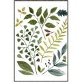 Picture of Foliage _GroupedProduct_Rectangle_Portrait_Canvas_Framed_