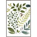 Picture of Foliage _GroupedProduct_Rectangle_Portrait_Canvas_Framed_