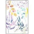 Picture of Dainty Botanical II  _GroupedProduct_Rectangle_Portrait_Canvas_Framed_