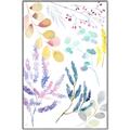 Picture of Dainty Botanical II  _GroupedProduct_Rectangle_Portrait_Canvas_Framed_