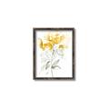 Picture of Yellow Floral II  _GroupedProduct_Rectangle_Portrait_Canvas_Framed_