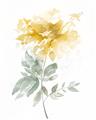 Picture of Yellow Floral I  _GroupedProduct_Rectangle_Portrait_Unframed_Print_Only_