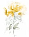 Picture of Yellow Floral II  _GroupedProduct_Rectangle_Portrait_Unframed_Print_Only_