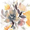 Picture of Lush Floral II  _GroupedProduct_Square_Unframed_Print_Only_
