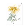 Picture of Yellow Floral I  _GroupedProduct_Rectangle_Portrait_Unframed_Print_Only_