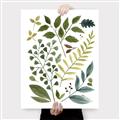 Picture of Foliage _GroupedProduct_Rectangle_Portrait_Canvas_