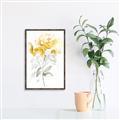 Picture of Yellow Floral II  _GroupedProduct_Rectangle_Portrait_Canvas_Framed_