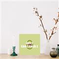 Picture of Holy Guacamole _GroupedProduct_Square_Canvas_