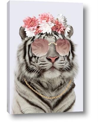 Picture of Fashion Tiger
