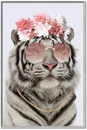 Picture of Fashion Tiger