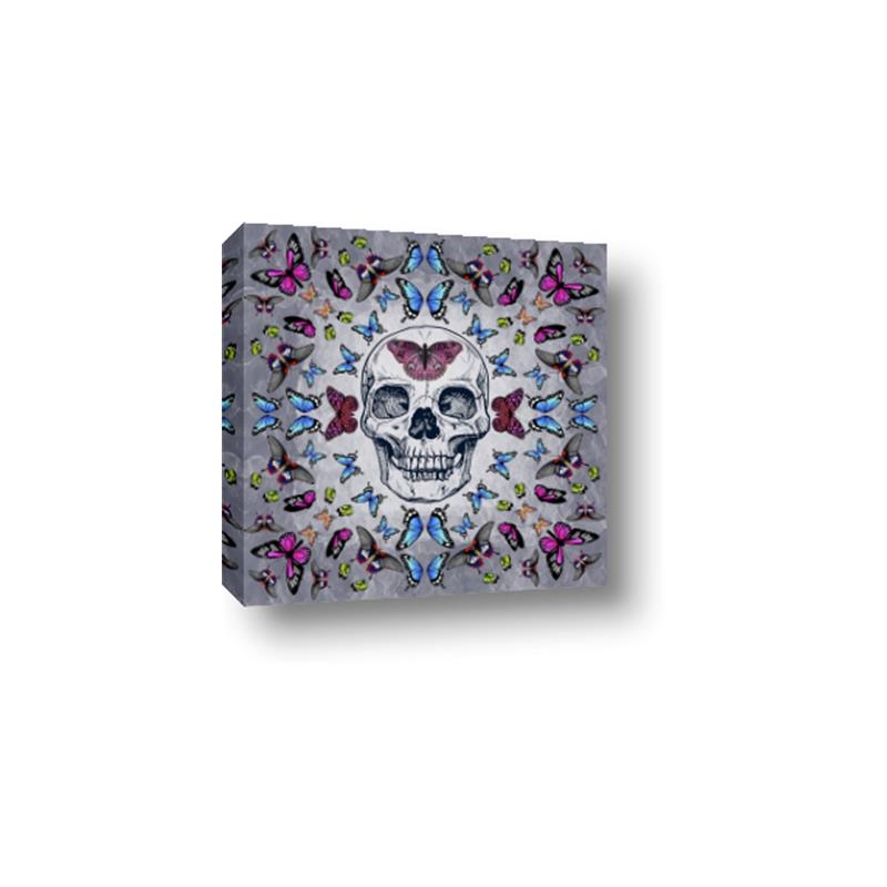 Picture of Butterfly Skull _GroupedProduct_Square_Canvas_