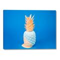 Picture of Blue Pineapple _GroupedProduct_Rectangle_Landscape_Photography _GroupedProduct_Rectangle_Landscape_Canvas_