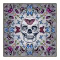 Picture of Butterfly Skull _GroupedProduct_Square_Canvas_Framed_