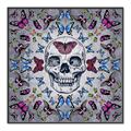 Picture of Butterfly Skull _GroupedProduct_Square_Canvas_Framed_