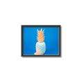 Picture of Blue Pineapple _GroupedProduct_Rectangle_Landscape_Photography _GroupedProduct_Rectangle_Landscape_Canvas_Framed_
