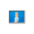 Picture of Blue Pineapple _GroupedProduct_Rectangle_Landscape_Photography _GroupedProduct_Rectangle_Landscape_Canvas_Framed_