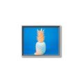 Picture of Blue Pineapple _GroupedProduct_Rectangle_Landscape_Photography _GroupedProduct_Rectangle_Landscape_Canvas_Framed_