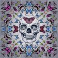Picture of Butterfly Skull _GroupedProduct_Square_Unframed_Print_Only_