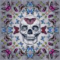 Picture of Butterfly Skull _GroupedProduct_Square_Unframed_Print_Only_
