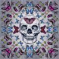 Picture of Butterfly Skull _GroupedProduct_Square_Unframed_Print_Only_