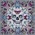 Picture of Butterfly Skull _GroupedProduct_Square_Unframed_Print_Only_