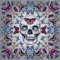 Picture of Butterfly Skull _GroupedProduct_Square_Unframed_Print_Only_