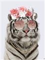 Picture of Fashion Tiger _GroupedProduct_Rectangle_Portrait_Unframed_Print_Only_