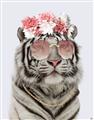 Picture of Fashion Tiger _GroupedProduct_Rectangle_Portrait_Unframed_Print_Only_