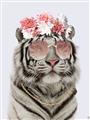 Picture of Fashion Tiger _GroupedProduct_Rectangle_Portrait_Unframed_Print_Only_