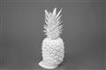 Picture of Blue Pineapple _GroupedProduct_Rectangle_Landscape_Photography _GroupedProduct_Rectangle_Landscape_Unframed_Print_Only_