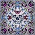 Picture of Butterfly Skull _GroupedProduct_Square_Unframed_Print_Only_
