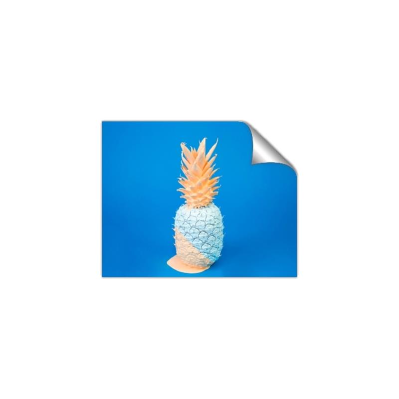 Picture of Blue Pineapple _GroupedProduct_Rectangle_Landscape_Photography _GroupedProduct_Rectangle_Landscape_Unframed_Print_Only_